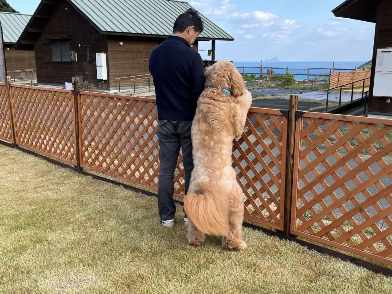 舞鶴ふるるファームコテージ Maizuru Exterior foto